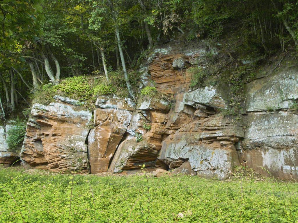 Landhaus Waldlehne Βίλα Biersdorf Εξωτερικό φωτογραφία